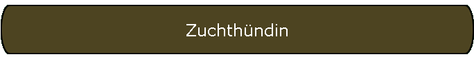 Zuchthndin